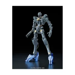 FM 1/100 GUNDAM VIDAR