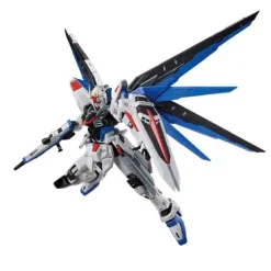 FM 1/100 ZGMF-X10A FREEDOM GUNDAM VER.GCP