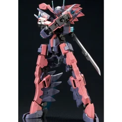 FRAME ARMS 1/100 : VULTURE:RE