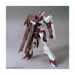 HGBD 1/144 ASTRAY NO NAME