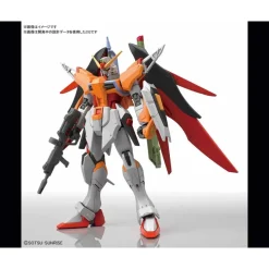 HGCE 1/144 DESTINY GUNDAM (HEINE WESTENFLUSS CUSTOM)