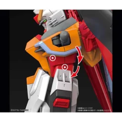 HGCE 1/144 DESTINY GUNDAM (HEINE WESTENFLUSS CUSTOM)