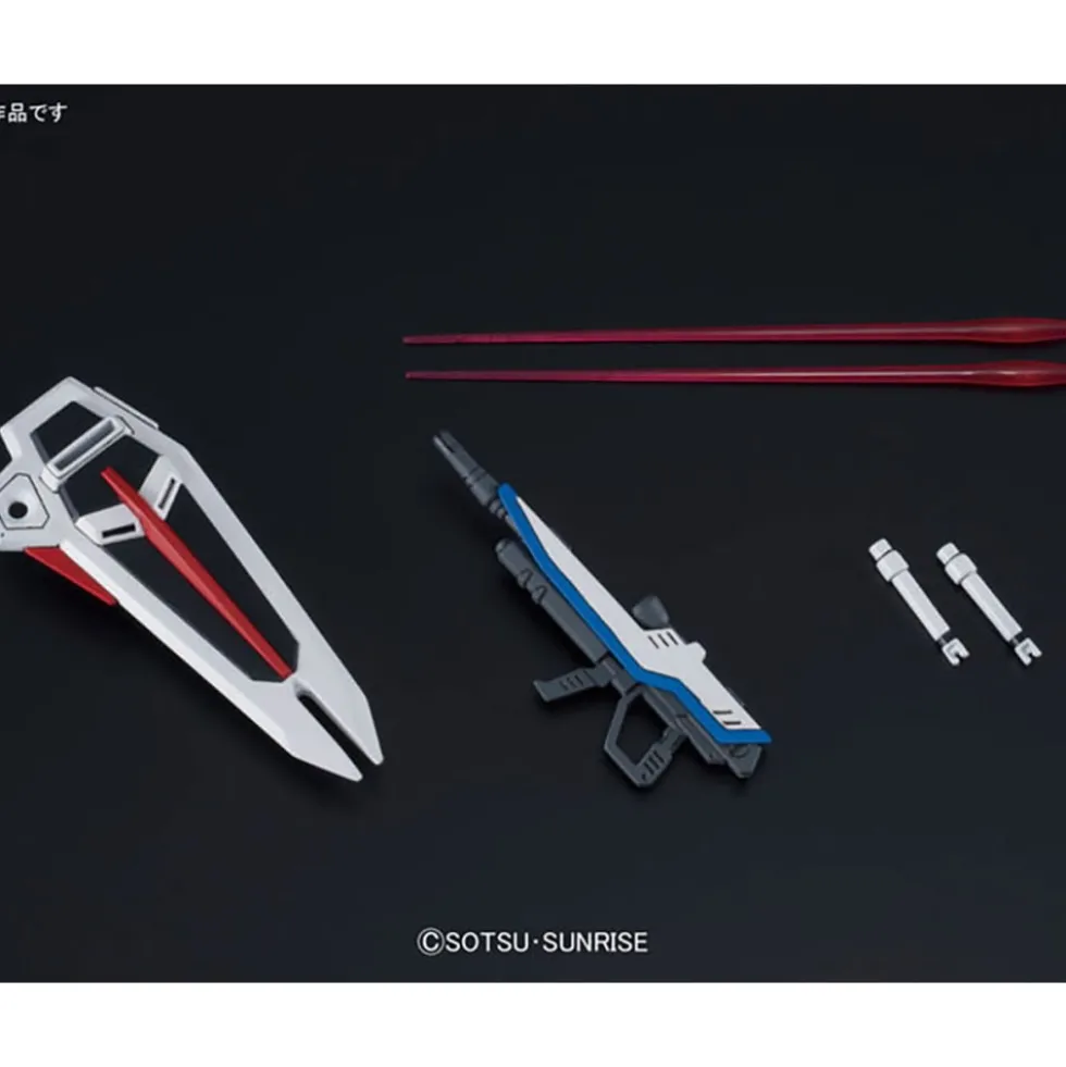HGCE 1/144 FREEDOM GUNDAM