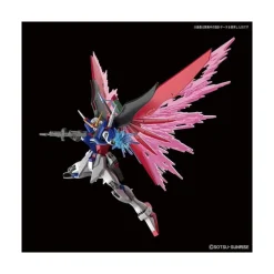 HGCE 1/144 GUNDAM DESTINY
