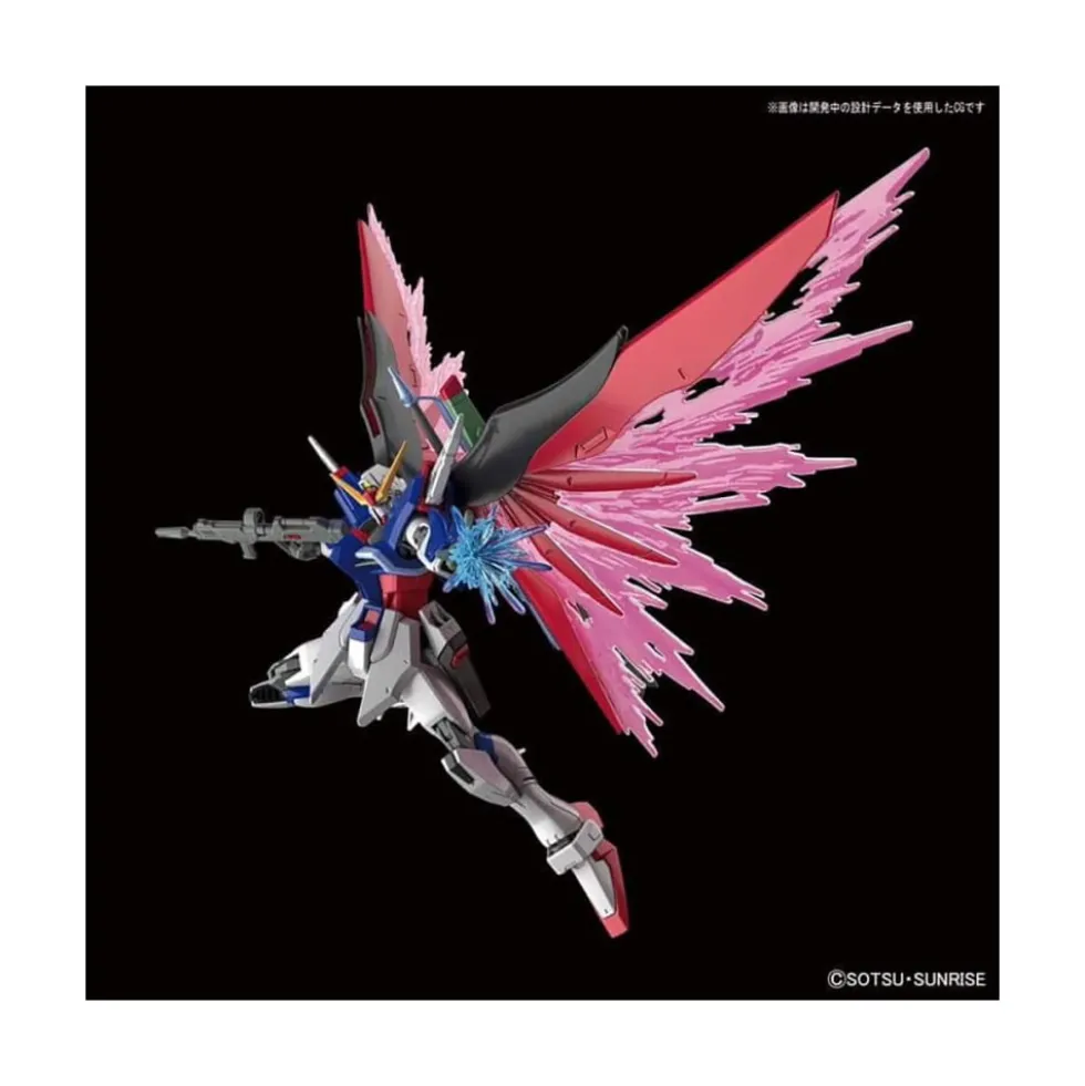 HGCE 1/144 GUNDAM DESTINY