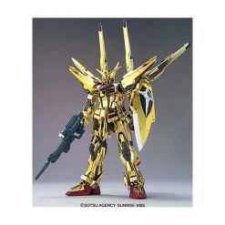 HGCE 1/144 GUNDAM OOWASHI AKATSUKI