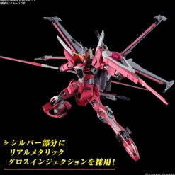 HG 1/144 INFINITE JUSTICE GUNDAM TYPE II