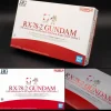 HG 1/144 RX-78-2 Gundam (Expo 2020 Dubai)