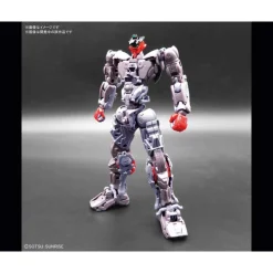 HIRM 1/100 GUNDAM ASTRAY NOIR