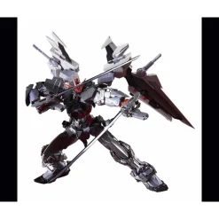 HIRM 1/100 GUNDAM ASTRAY NOIR