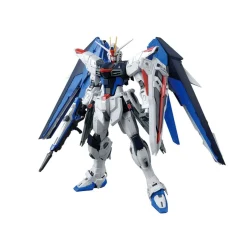 MG 1/100 FREEDOM GUNDAM VER 2.0