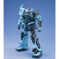 MG 1/100 GOUF CUSTOM