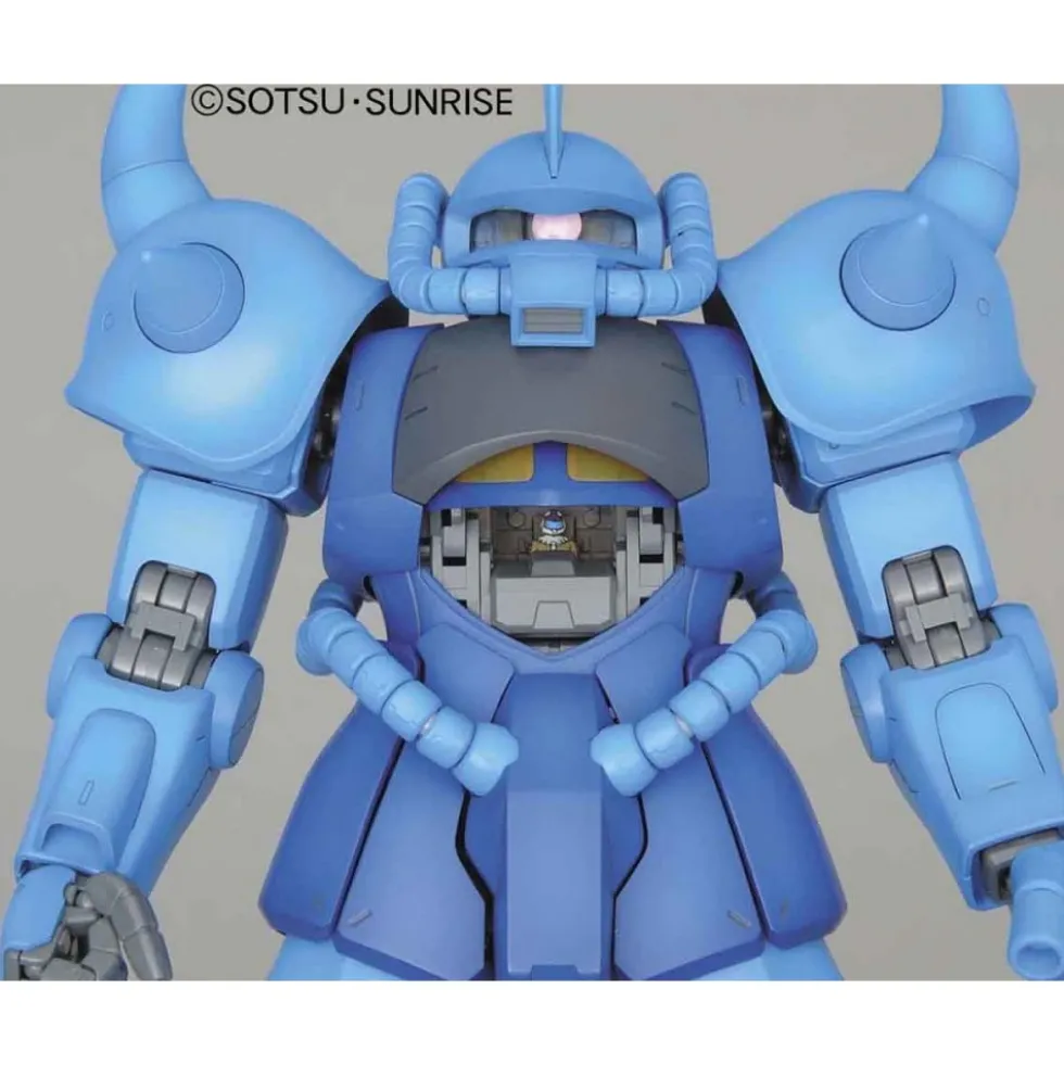 MG 1/100 GOUF VER.2.0