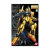 MG 1/100 MSN-100 HYAKUSHIKI