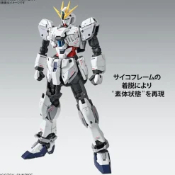 MG 1/100 NARRATIVE GUNDAM C-PACKS VER. KA