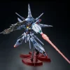 MG 1/100 PROVIDENCE GUNDAM (SPECIAL COATING)