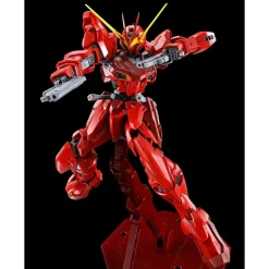 MG 1/100 RGX-00 TESTAMENT GUNDAM