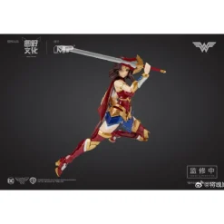 MS GENERAL DC WONDER WOMAN