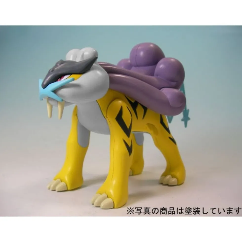 POKEMON POKE-PLA 10 RAIKOU