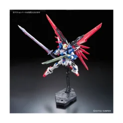 RG 1/144 DESTINY GUNDAM