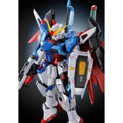 RG 1/144 DESTINY GUNDAM [TITANIUM FINISH]