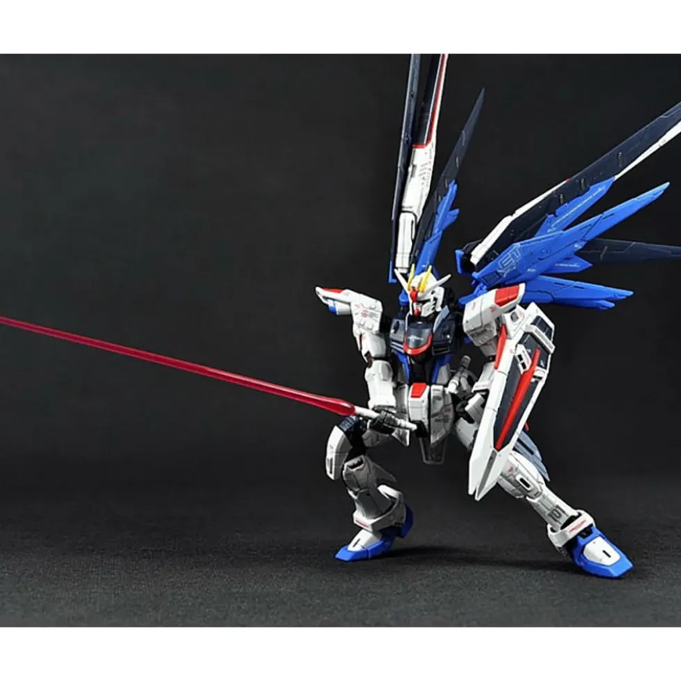 RG 1/144 FREEDOM GUNDAM