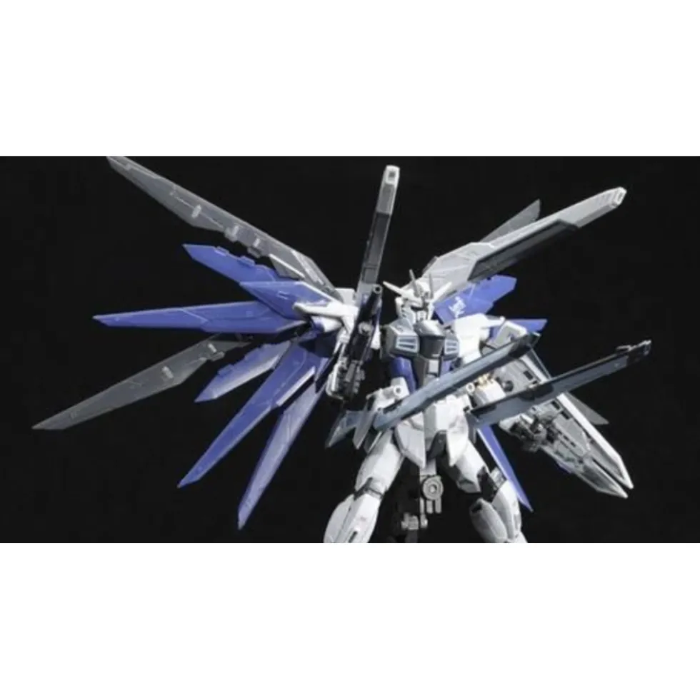 RG 1/144 FREEDOM GUNDAM (DEACTIVE MODE)