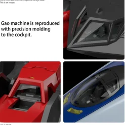 RG GAOGAIGAR