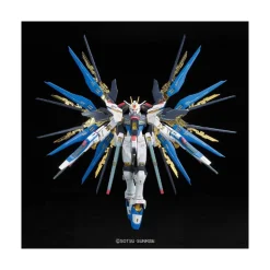 RG 1/144 STRIKE FREEDOM GUNDAM