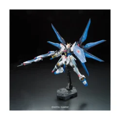 RG 1/144 STRIKE FREEDOM GUNDAM