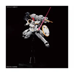 RG 1/144 TALLGEESE EW