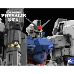 SOLOMON : 1/100 PHYSALIS