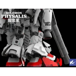 SOLOMON : 1/100 PHYSALIS