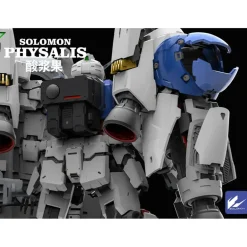SOLOMON : 1/100 PHYSALIS