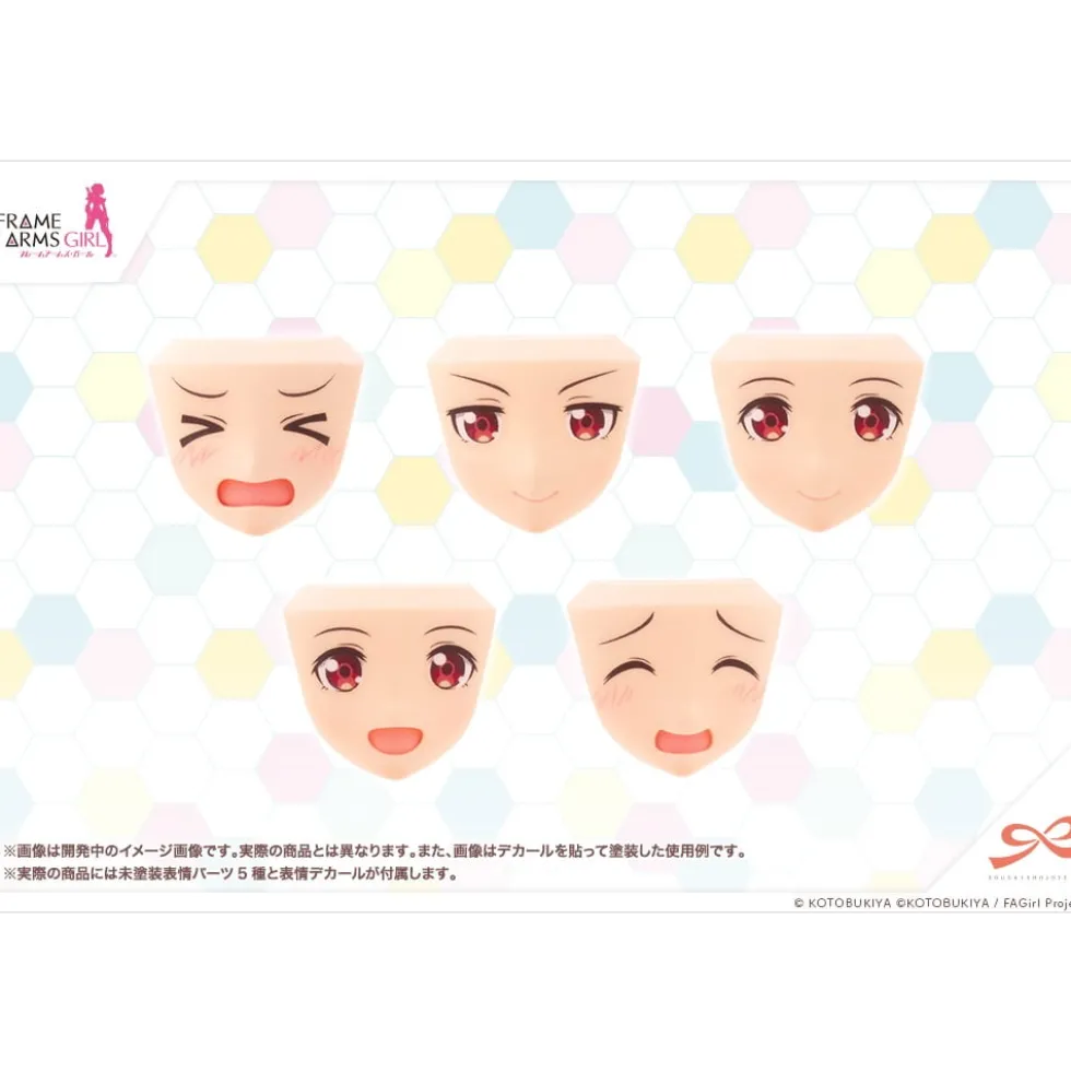 SOUSAI SHOJO TEIEN : AFTER SCHOOL GOURAI BIRTHDAY SET