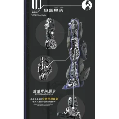 VIENTIANE FUSION : METEOR